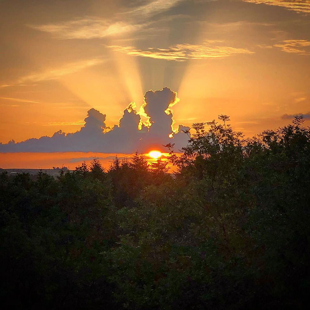 Photo showing a sunset in above a forest.